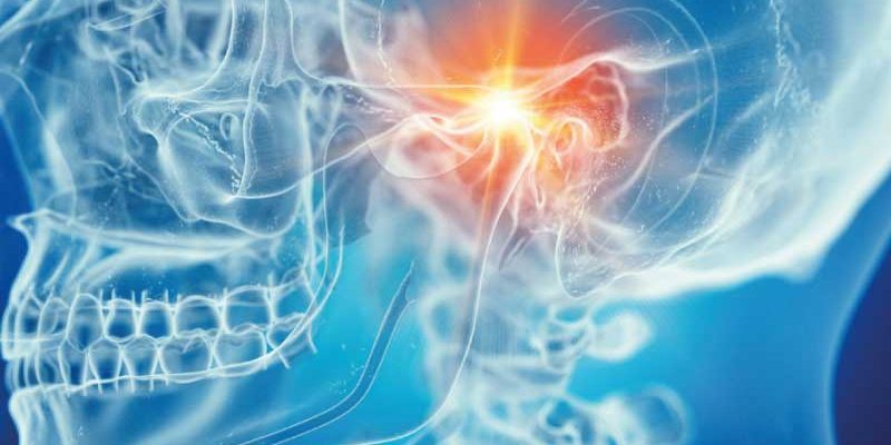 Anatomía craneal de la boca Clínica Dental Mozas