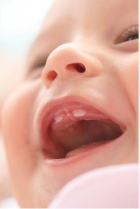 Qué dientes salen primero