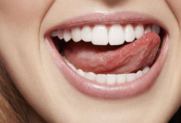 Cuántos dientes tiene un adulto